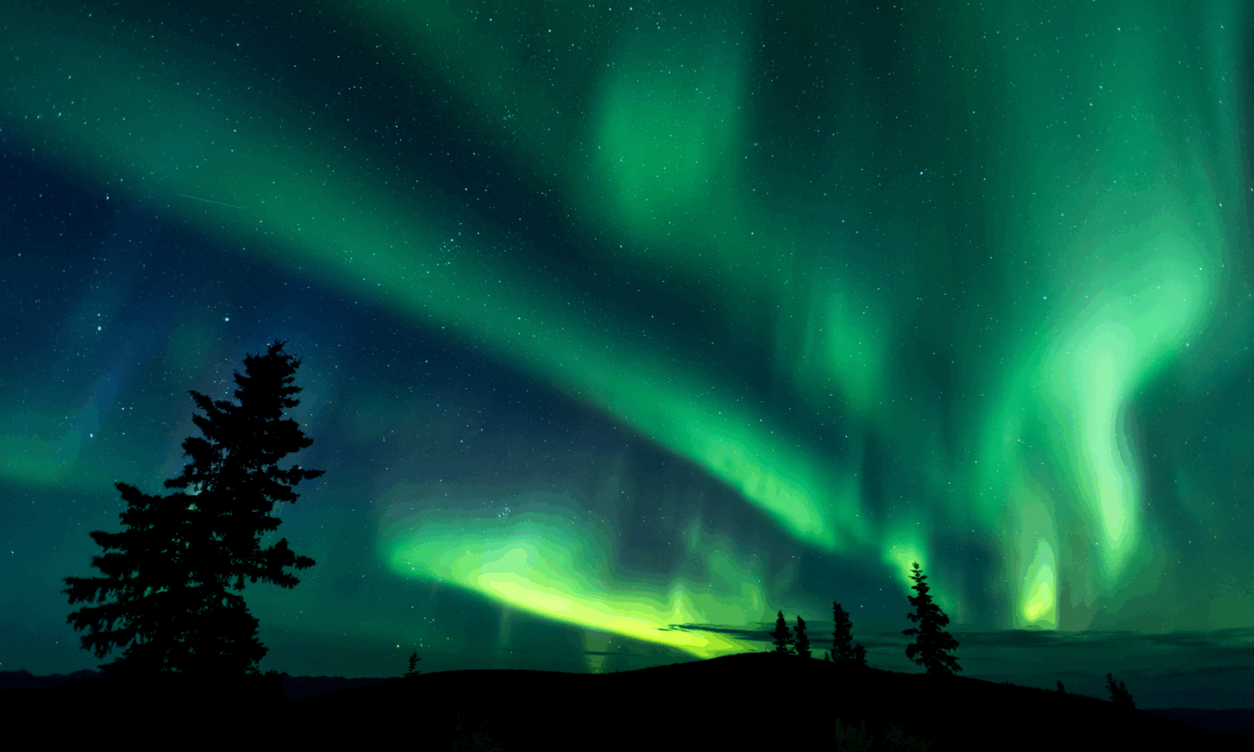 Aurores boréales au Yukon, dans le grand nord du Canada