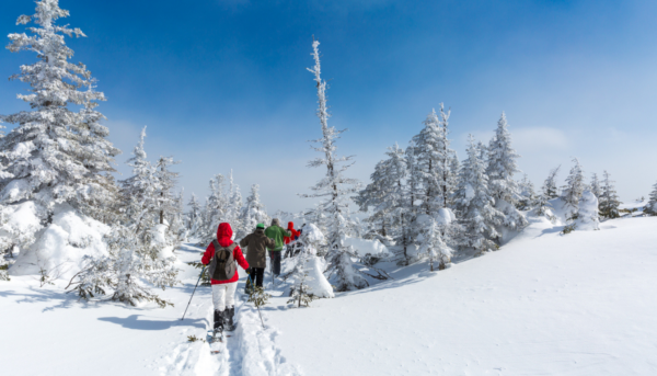 Canada en hiver