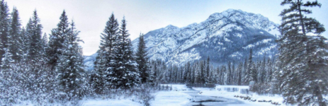 Rocheuses Alberta hiver Canada train