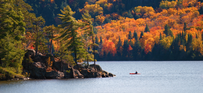 Parc Algonquin Ontario automne kayak