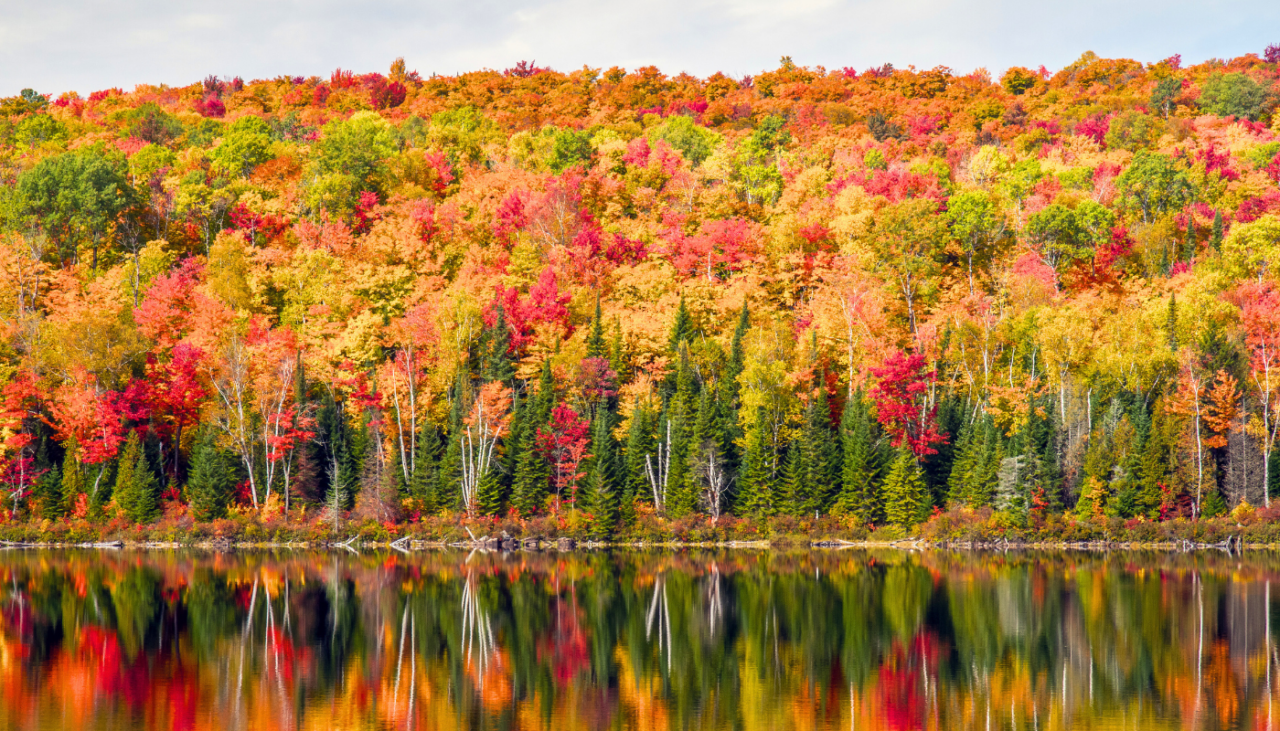 Canada en automne Québec en automne