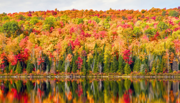 Canada en automne Québec en automne