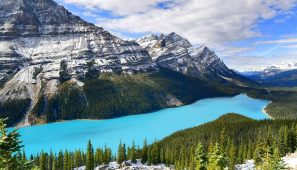 Lac Peyto, premier voyage au Canada, road trip en famille ouest canadien