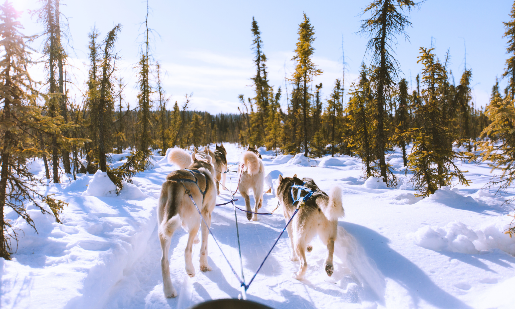 Voyage d'hiver au Québec