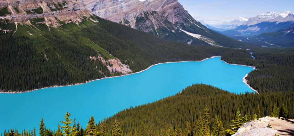 Lac Peyto voyage Ouest Canada
