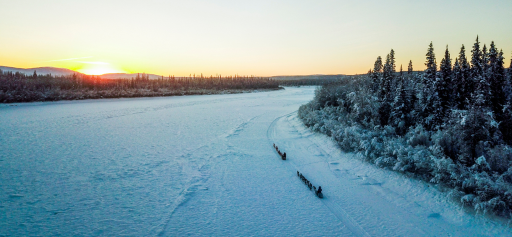 Traineau à chiens - Où voir les aurores boréales au Canada Yukon