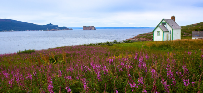 Que faire en Gaspésie ?