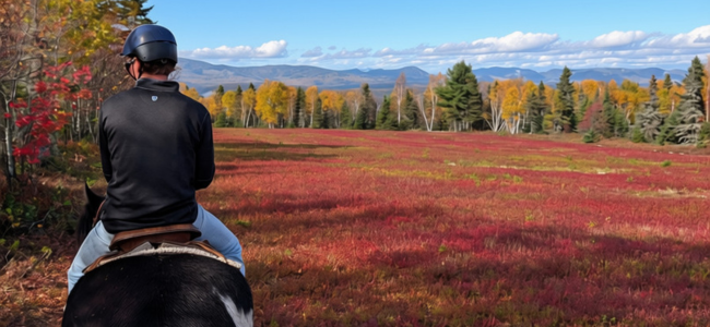 Balade à cheval Québec - Les Montagnards de Charlevoix